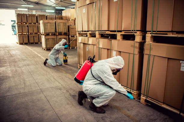 Best Rat Extermination Near Me  in Oil City, PA