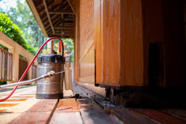 Best Best Pest Control Companies  in Oil City, PA
