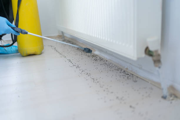 Best Wildlife Control Services  in Oil City, PA