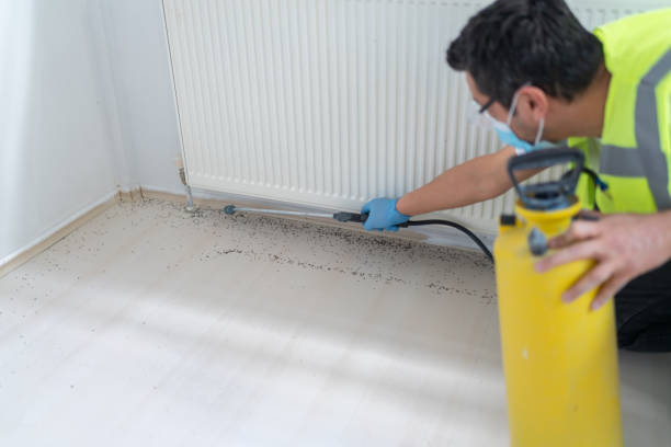Best Pest Control Cost  in Oil City, PA